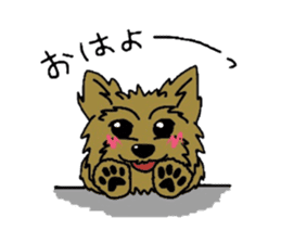 Yorkie every day(Part2) sticker #2539105