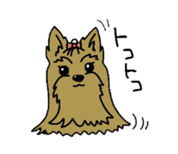 Yorkie every day(Part2) sticker #2539106