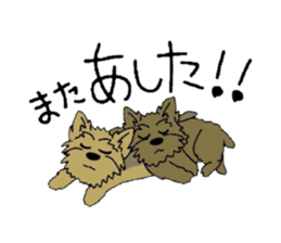 Yorkie every day(Part2) sticker #2539108