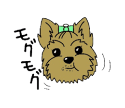 Yorkie every day(Part2) sticker #2539109