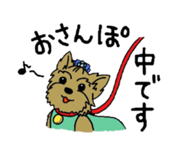 Yorkie every day(Part2) sticker #2539111