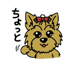 Yorkie every day(Part2) sticker #2539114