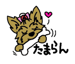 Yorkie every day(Part2) sticker #2539116