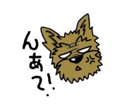 Yorkie every day(Part2) sticker #2539117