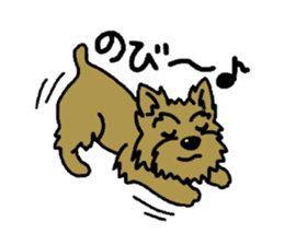 Yorkie every day(Part2) sticker #2539119