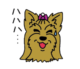 Yorkie every day(Part2) sticker #2539121