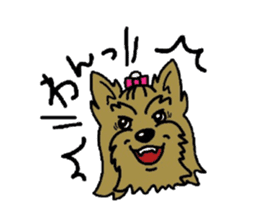 Yorkie every day(Part2) sticker #2539122