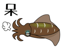 Big fin reef squid Sticker sticker #2539769