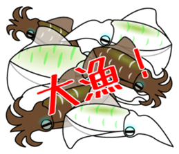 Big fin reef squid Sticker sticker #2539777
