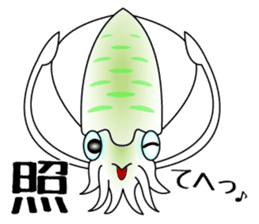 Big fin reef squid Sticker sticker #2539799