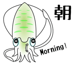 Big fin reef squid Sticker sticker #2539803