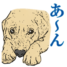 Animal seal by Mika sticker #2539968