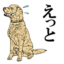 Animal seal by Mika sticker #2539970