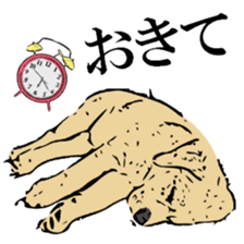 Animal seal by Mika sticker #2539971