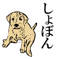 Animal seal by Mika sticker #2539975