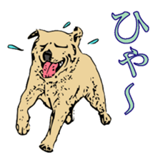 Animal seal by Mika sticker #2539979