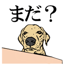 Animal seal by Mika sticker #2539980