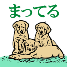 Animal seal by Mika sticker #2539981