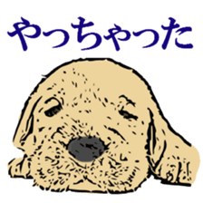 Animal seal by Mika sticker #2539983