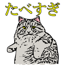 Animal seal by Mika sticker #2539993