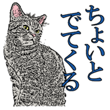 Animal seal by Mika sticker #2539994