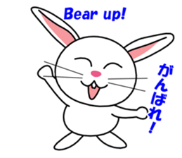 White rabbit PANKU sticker #2540359