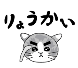 Cute Brow Cat sticker #2543904