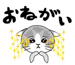 Cute Brow Cat sticker #2543906