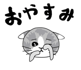 Cute Brow Cat sticker #2543907