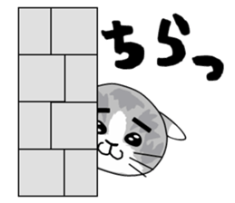 Cute Brow Cat sticker #2543910