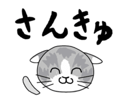Cute Brow Cat sticker #2543930