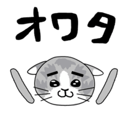 Cute Brow Cat sticker #2543934