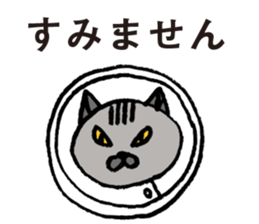 cat workers sticker #2550591