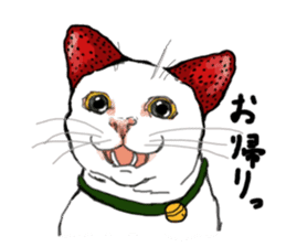 Cat Daifuku sticker #2553793