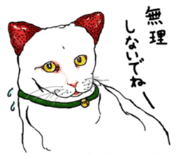 Cat Daifuku sticker #2553794