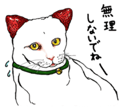 Cat Daifuku sticker #2553794