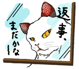 Cat Daifuku sticker #2553808