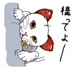 Cat Daifuku sticker #2553817