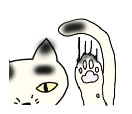 a mottled cat sticker #2555069