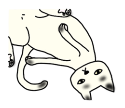 a mottled cat sticker #2555075
