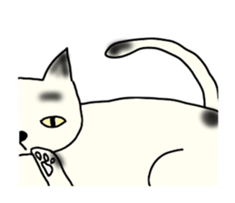 a mottled cat sticker #2555076