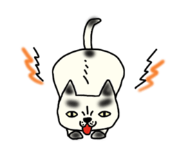 a mottled cat sticker #2555082