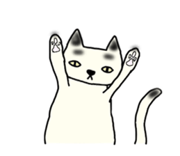 a mottled cat sticker #2555083