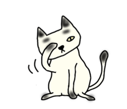 a mottled cat sticker #2555092