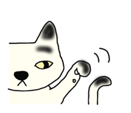 a mottled cat sticker #2555095