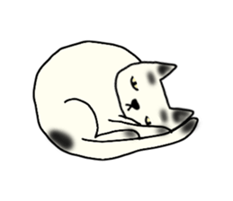 a mottled cat sticker #2555098