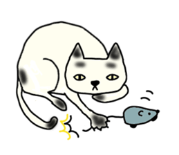 a mottled cat sticker #2555102