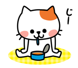 Cat of everyday conversation, greeting sticker #2556086