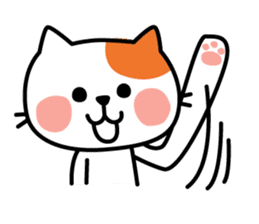 Cat of everyday conversation, greeting sticker #2556093