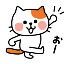 Cat of everyday conversation, greeting sticker #2556098